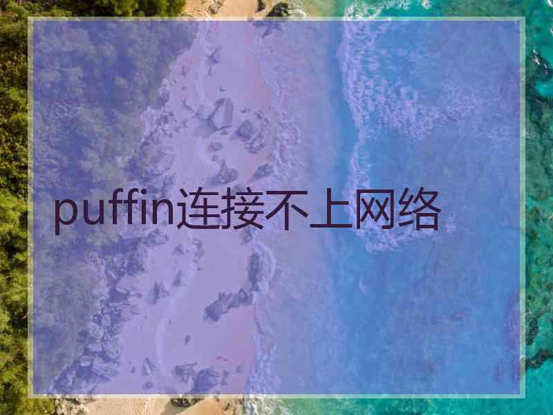 puffin连接不上网络