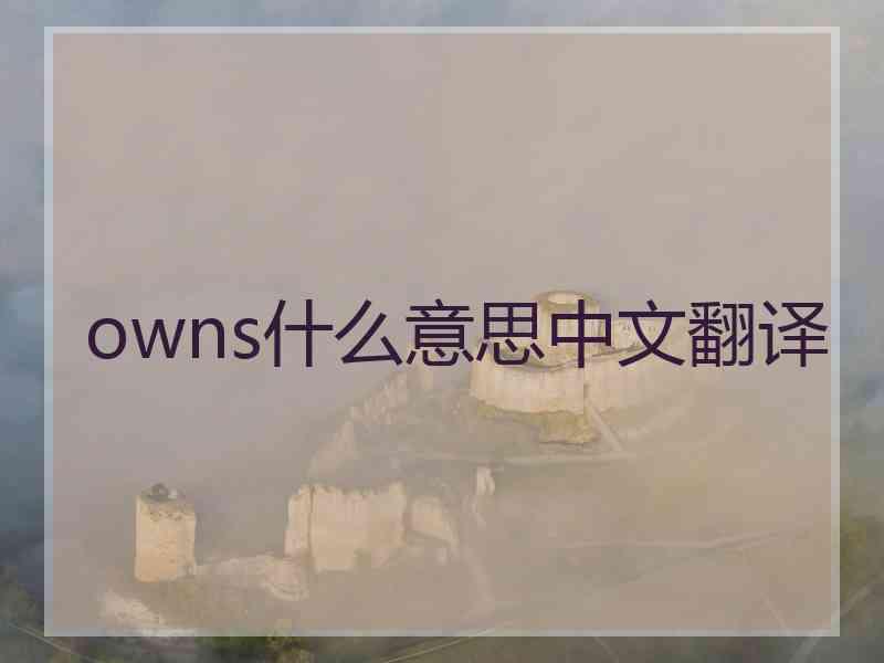 owns什么意思中文翻译