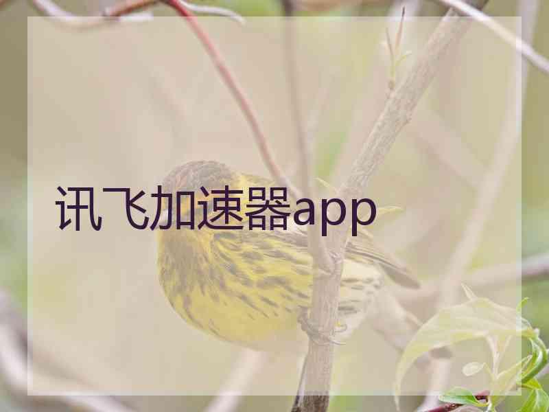 讯飞加速器app