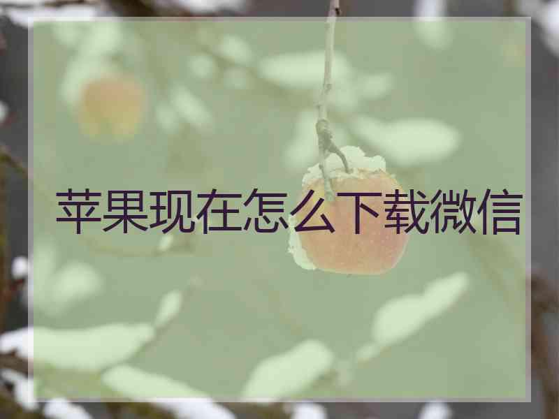 苹果现在怎么下载微信