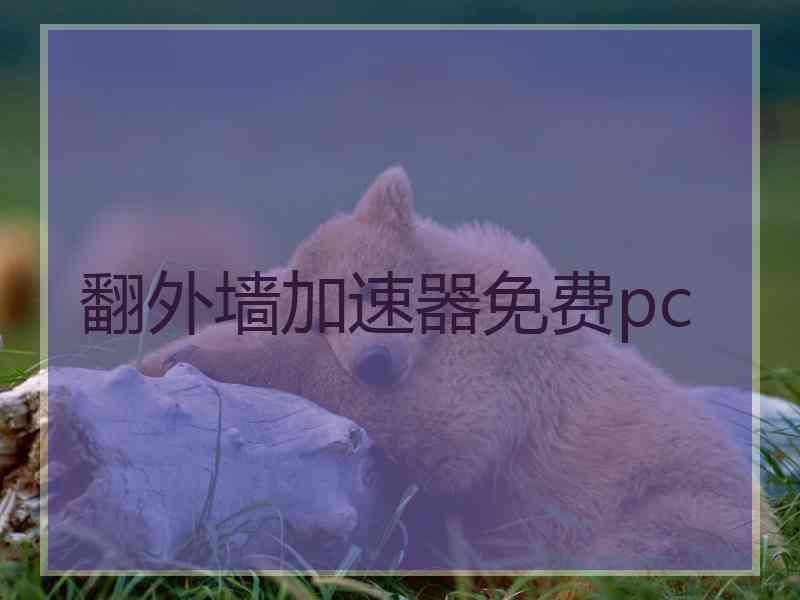 翻外墙加速器免费pc