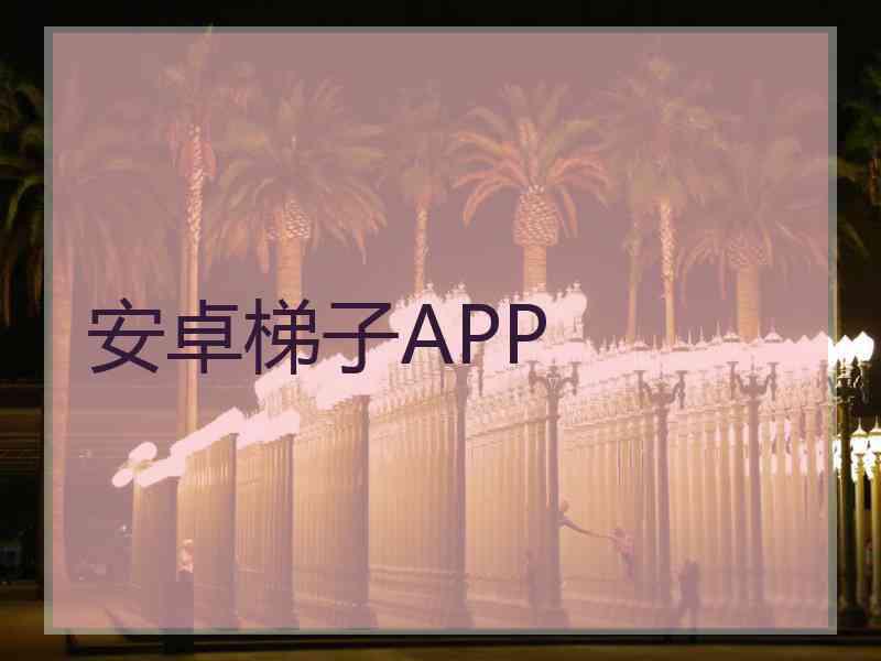 安卓梯子APP