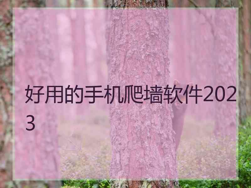 好用的手机爬墙软件2023