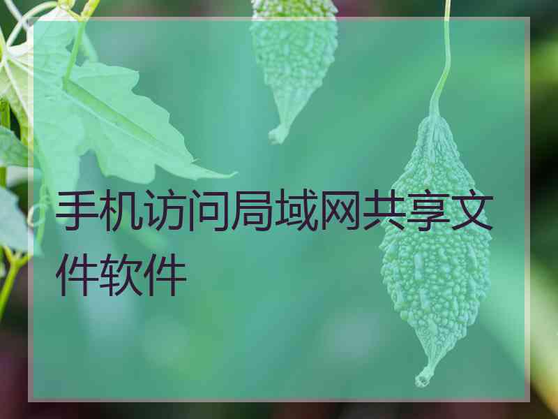 手机访问局域网共享文件软件