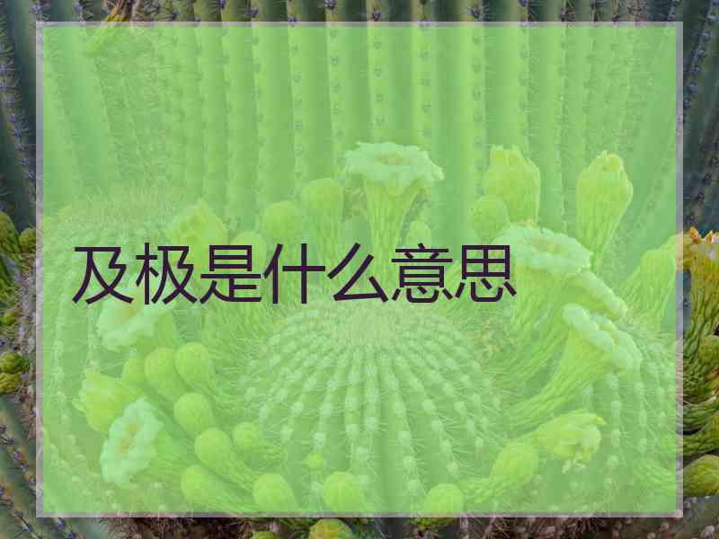 及极是什么意思