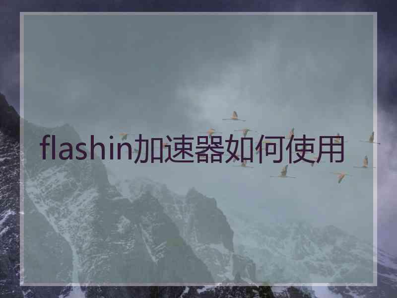 flashin加速器如何使用