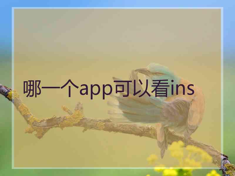 哪一个app可以看ins