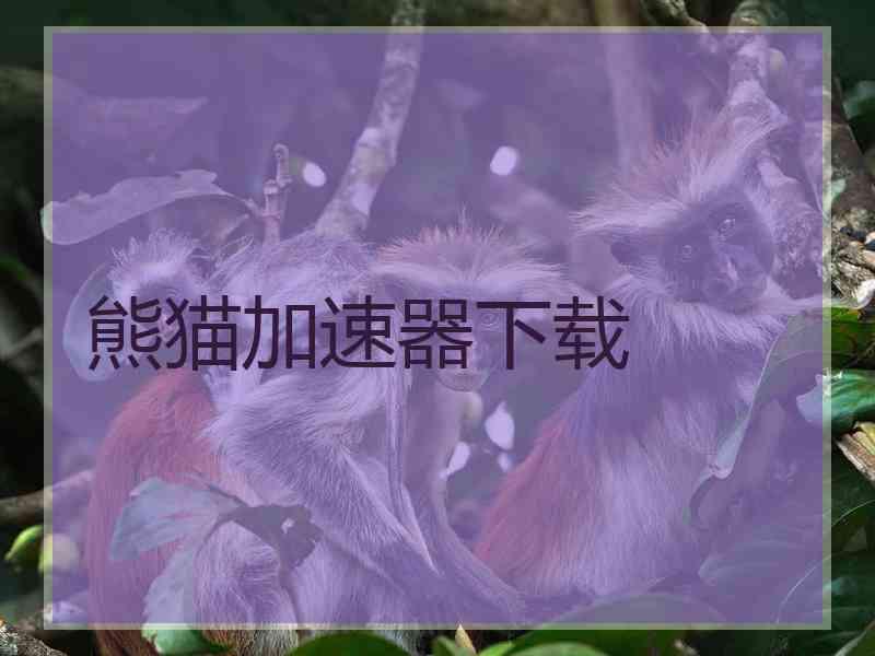 熊猫加速器下载