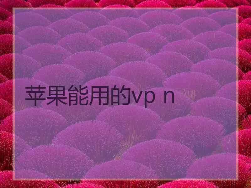 苹果能用的vp n