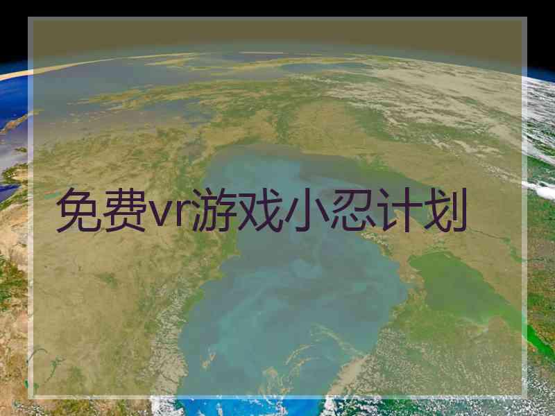 免费vr游戏小忍计划