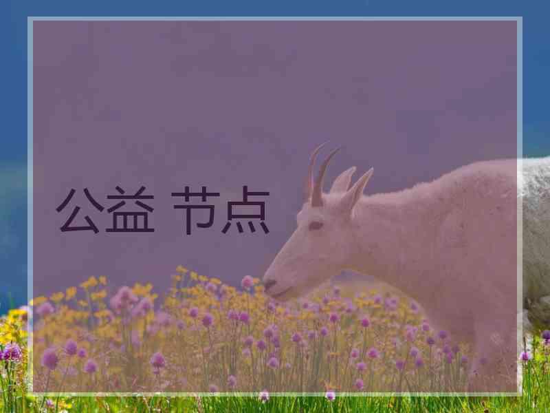 公益 节点