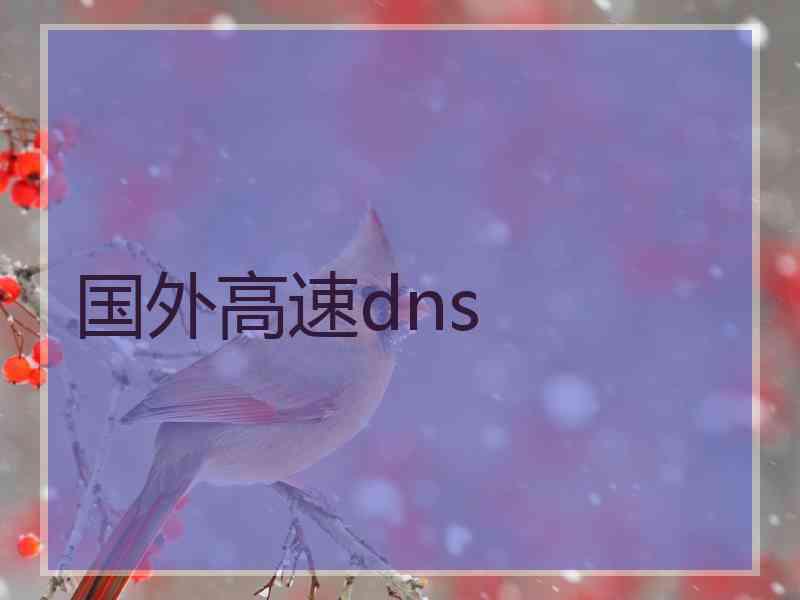 国外高速dns