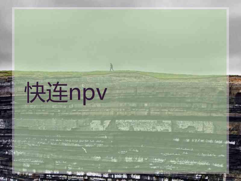 快连npv