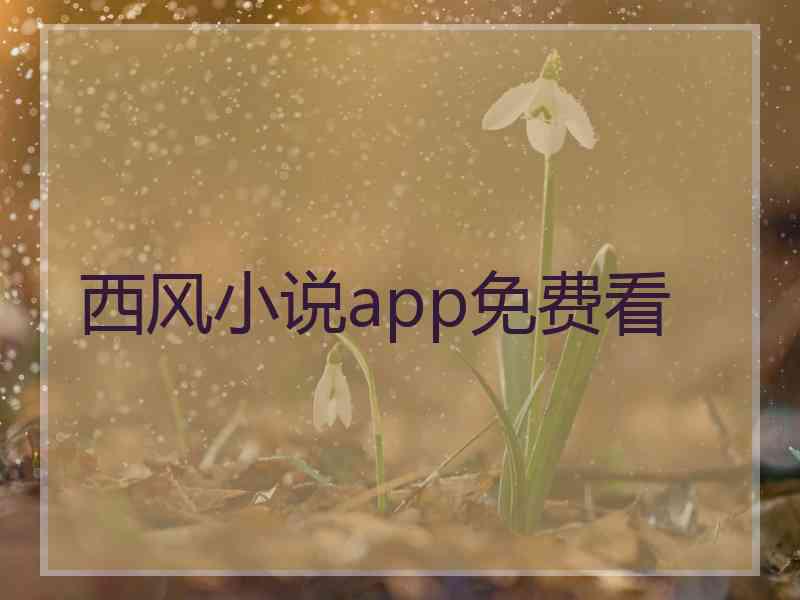 西风小说app免费看