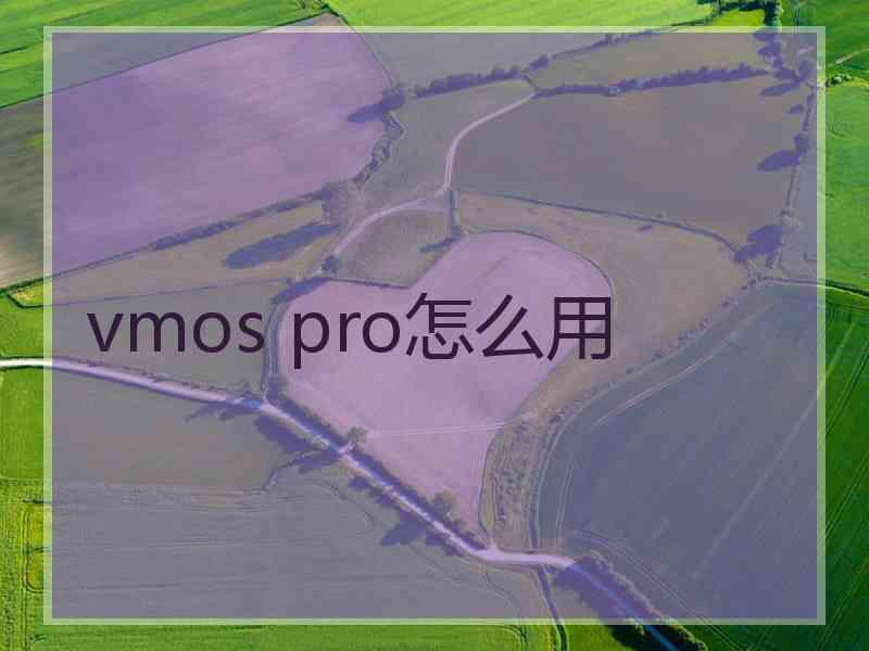 vmos pro怎么用