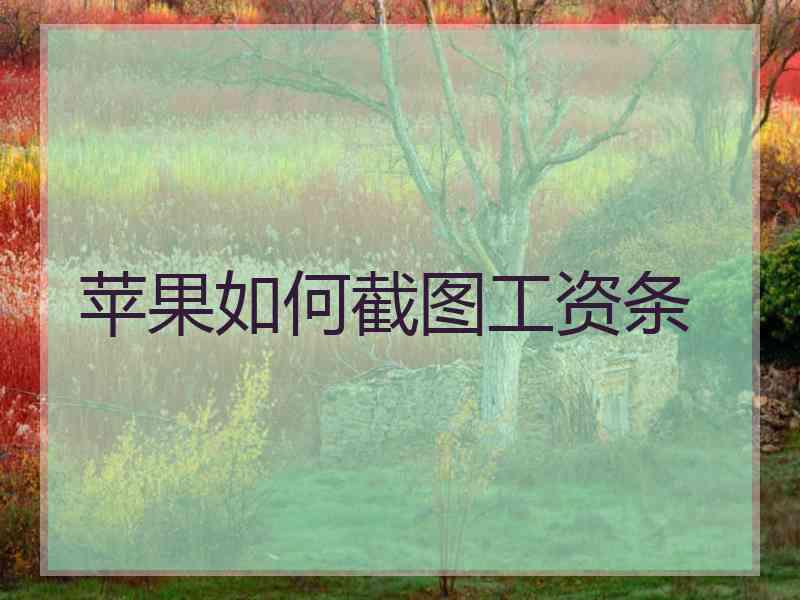 苹果如何截图工资条