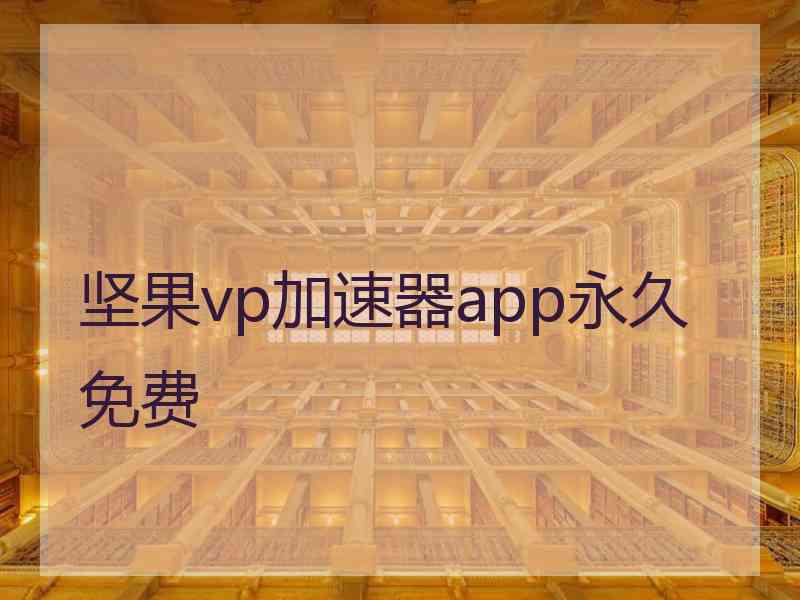 坚果vp加速器app永久免费