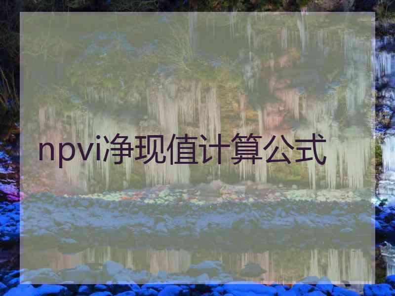 npvi净现值计算公式