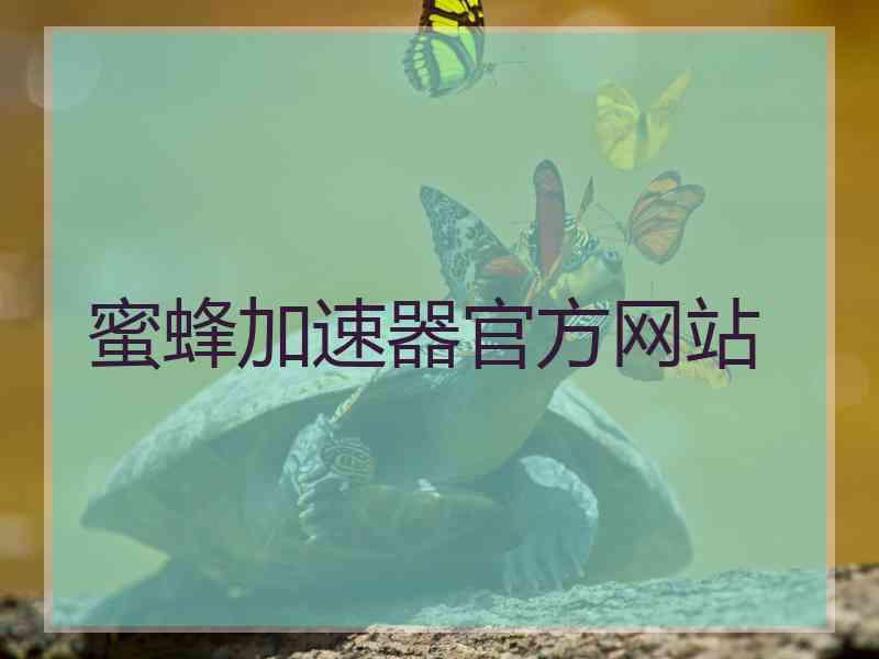 蜜蜂加速器官方网站