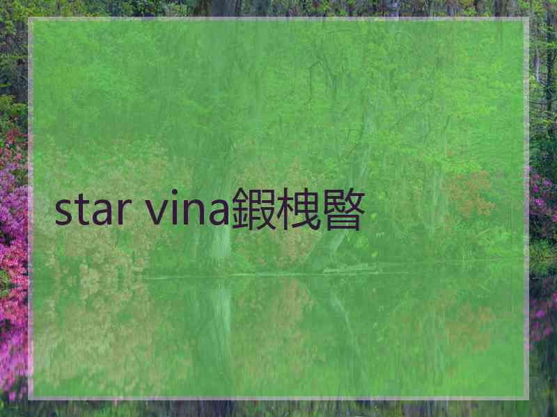 star vina鍜栧暋