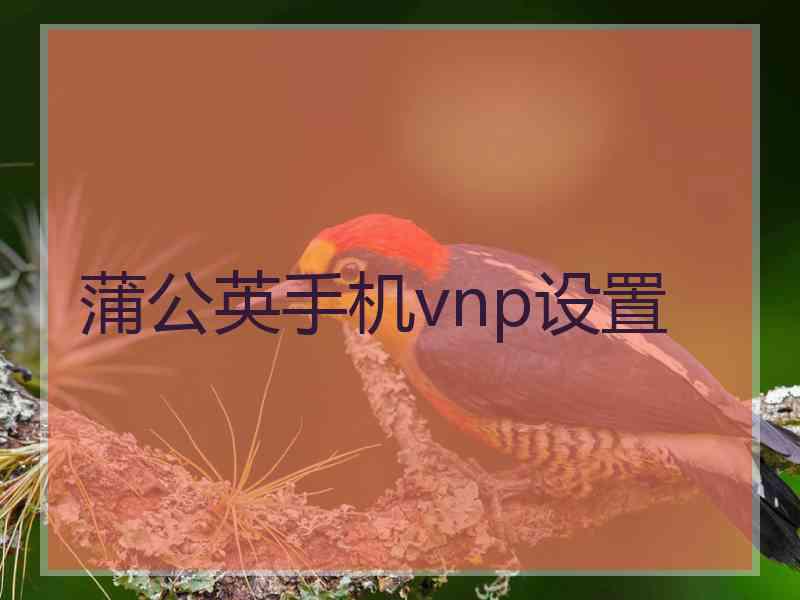 蒲公英手机vnp设置