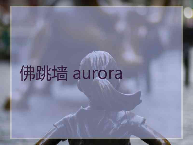 佛跳墙 aurora