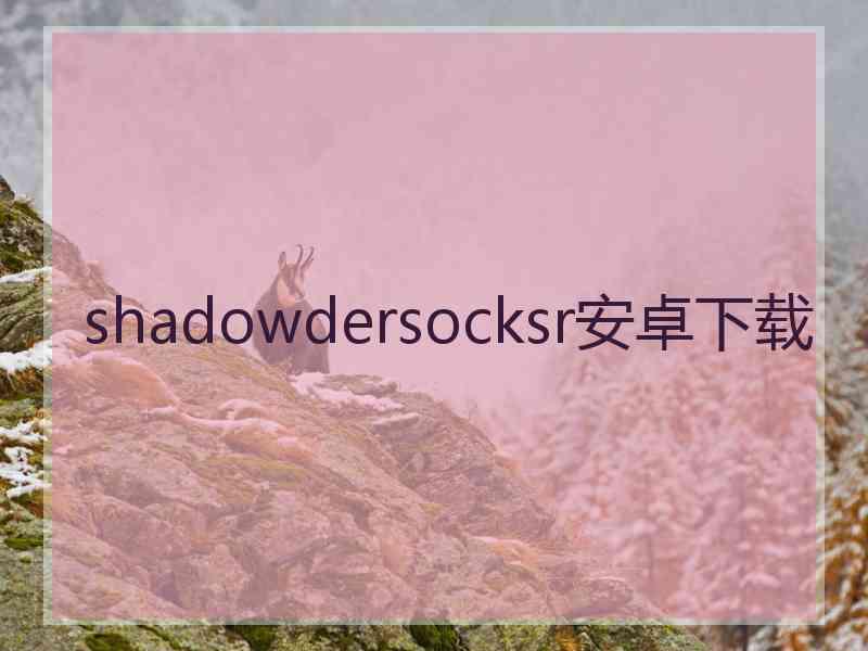 shadowdersocksr安卓下载