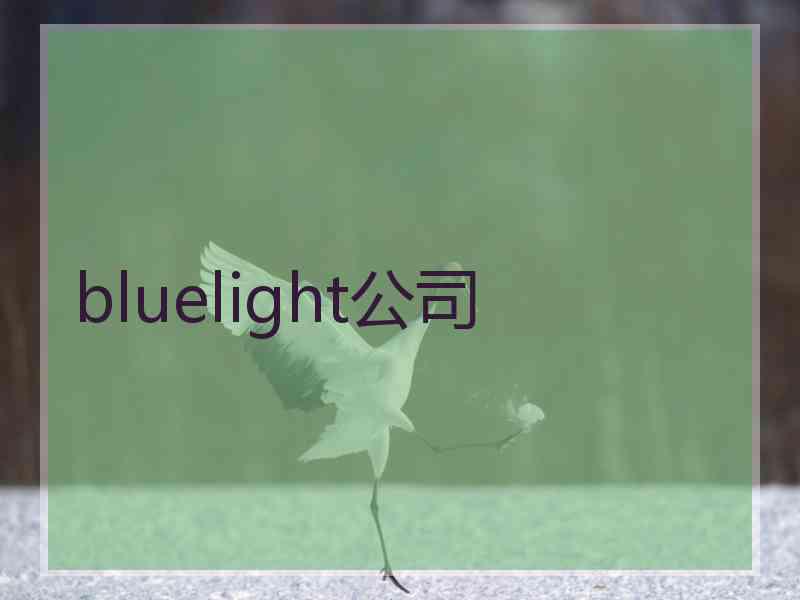 bluelight公司