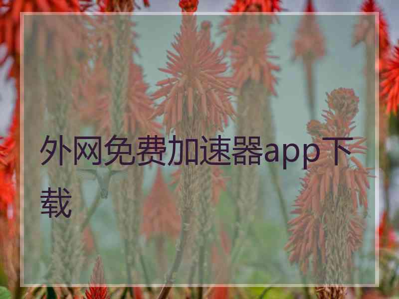 外网免费加速器app下载