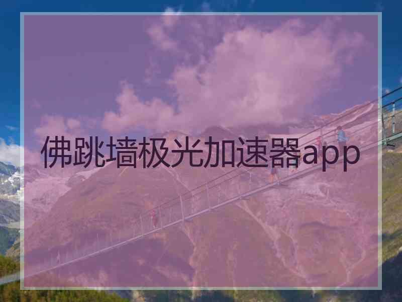 佛跳墙极光加速器app