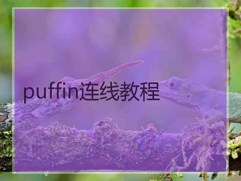 puffin连线教程