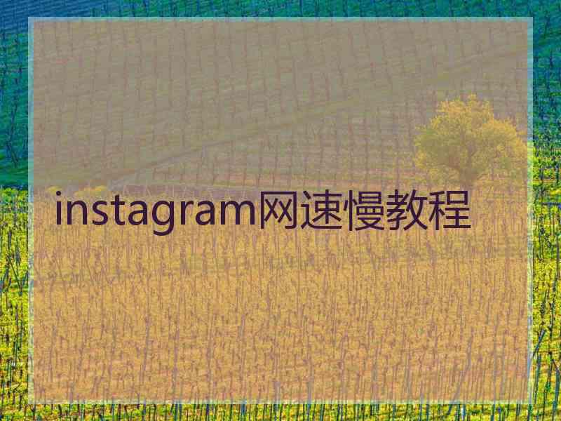 instagram网速慢教程