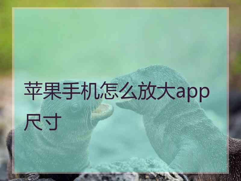 苹果手机怎么放大app尺寸