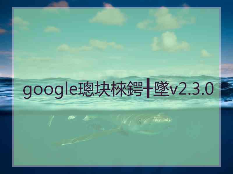 google璁块棶鍔╂墜v2.3.0