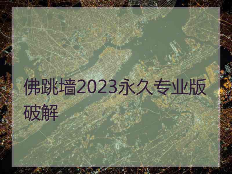 佛跳墙2023永久专业版破解