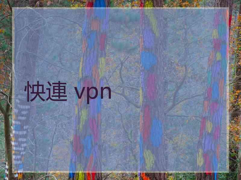 怏連 vpn