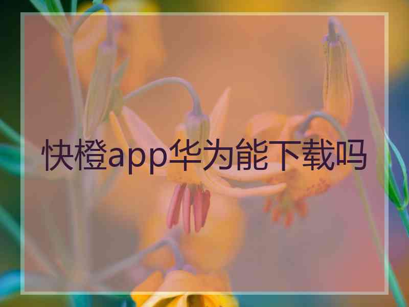 快橙app华为能下载吗