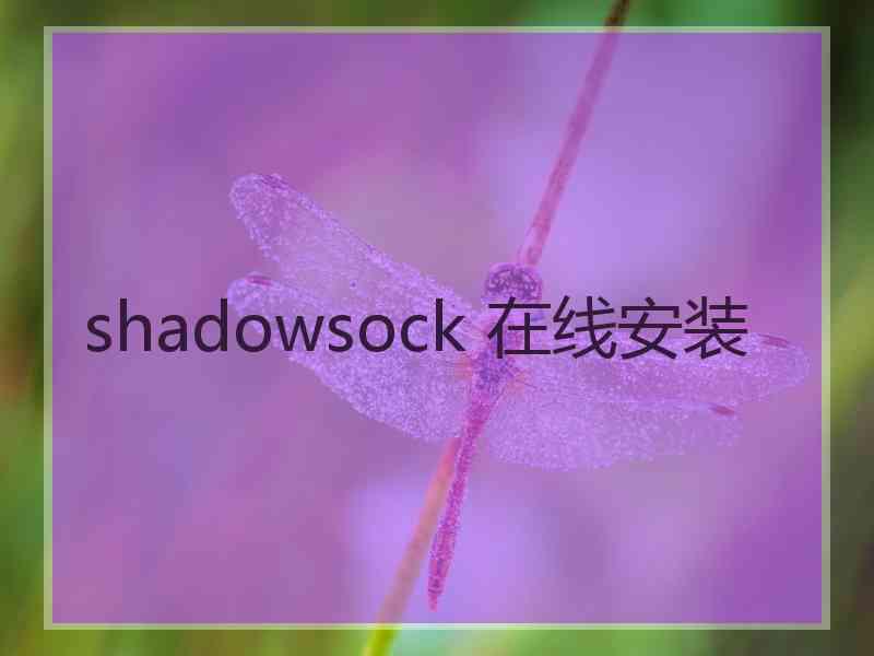 shadowsock 在线安装