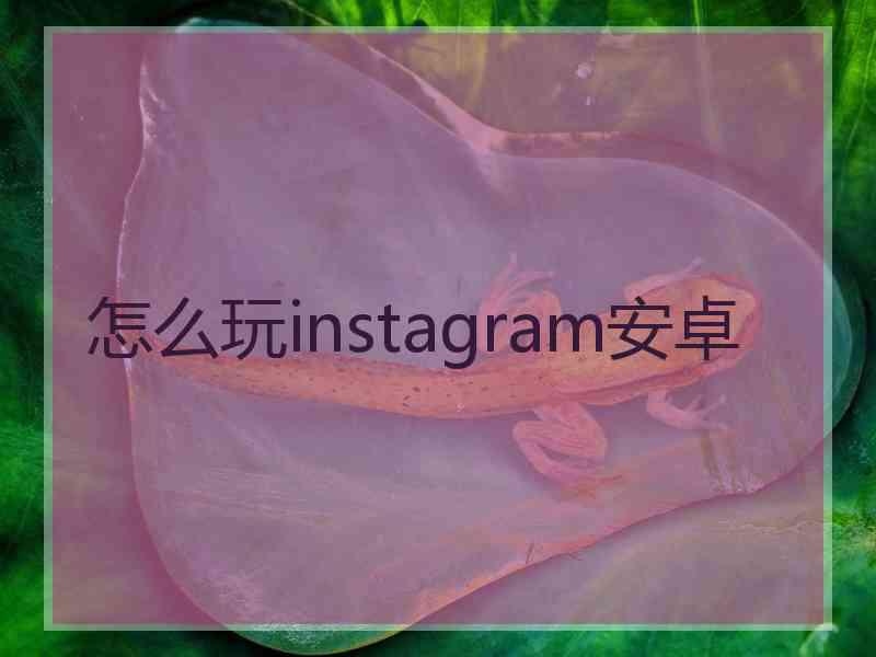 怎么玩instagram安卓