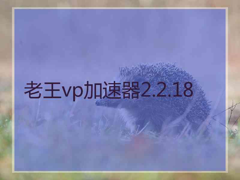 老王vp加速器2.2.18