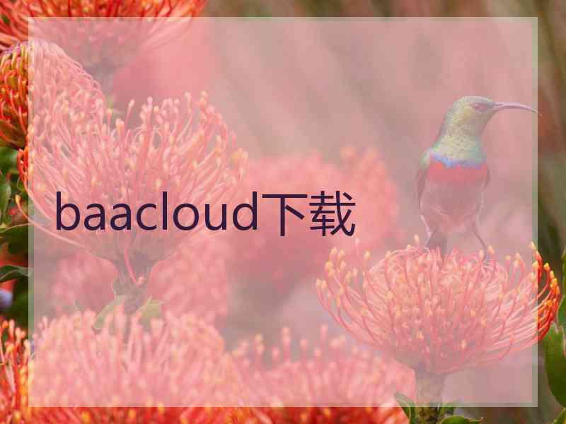 baacloud下载