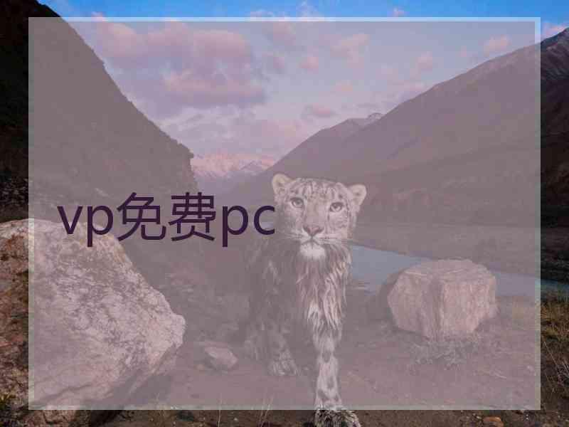 vp免费pc