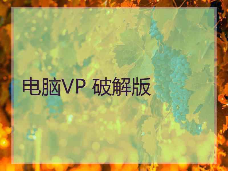 电脑VP 破解版