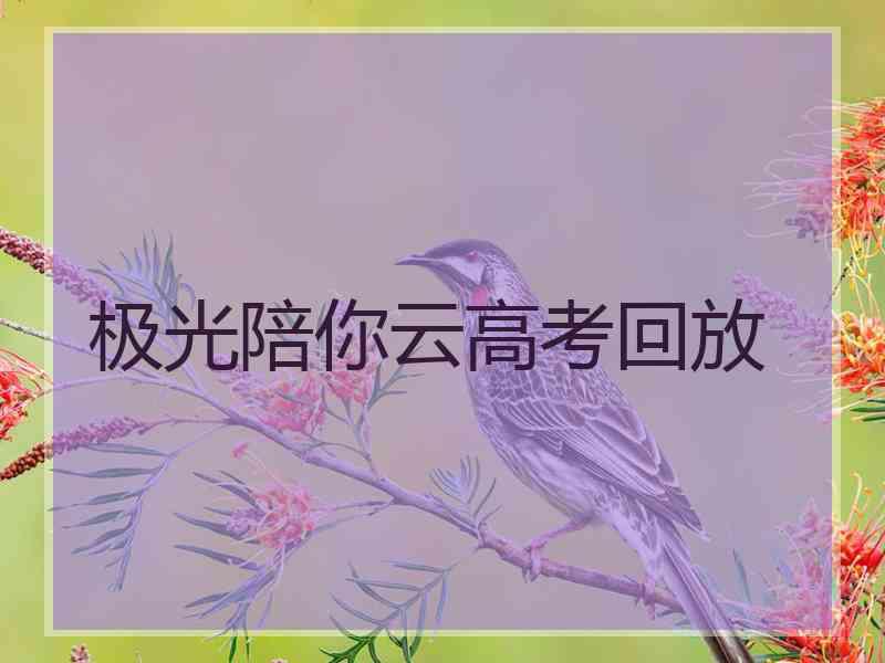 极光陪你云高考回放