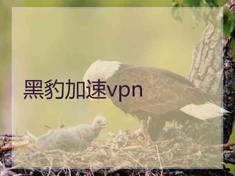 黑豹加速vpn