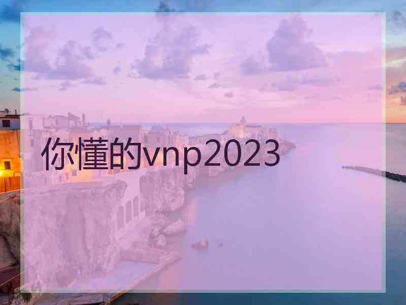 你懂的vnp2023