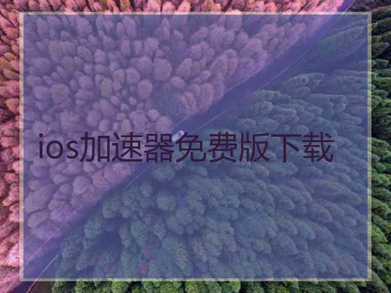 ios加速器免费版下载