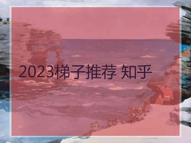 2023梯子推荐 知乎