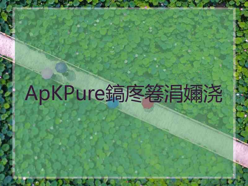 ApKPure鎬庝箞涓嬭浇