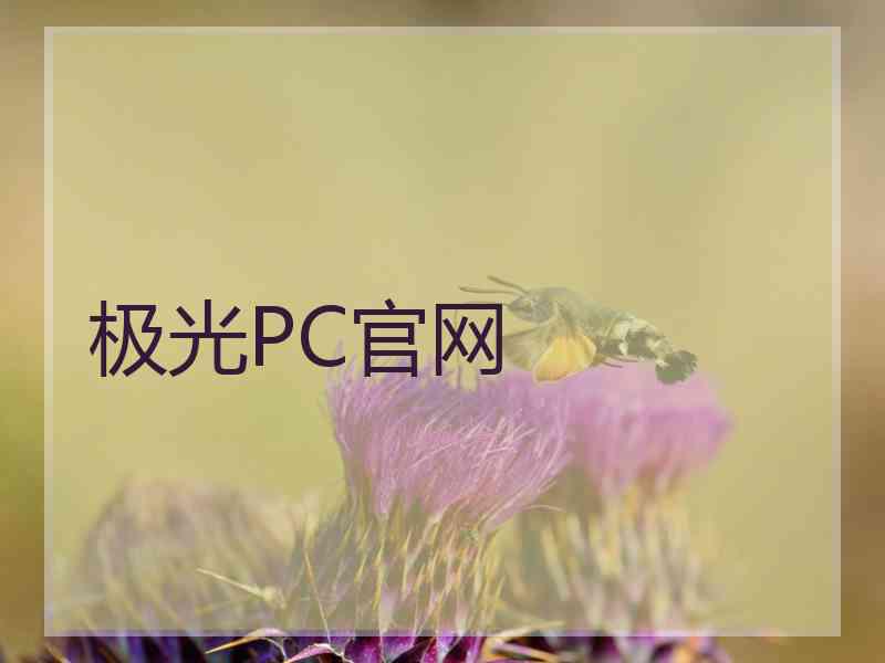 极光PC官网